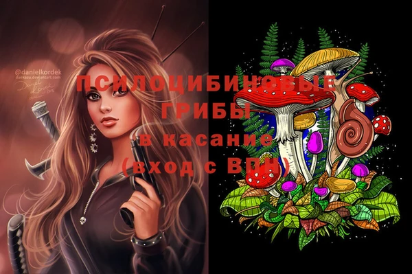 круглые Богородицк