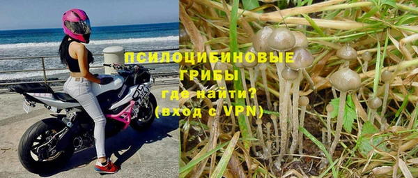 MESCALINE Богданович