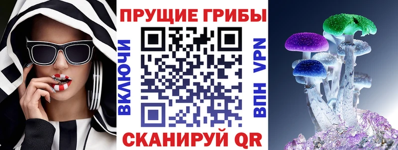 где продают наркотики  Элиста  Псилоцибиновые грибы ЛСД 